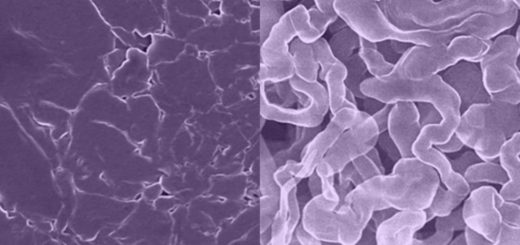 Scientists fabricate a new anode material for a rechargeable battery technology.