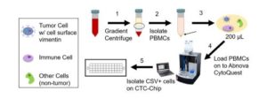 Researchers' workflow