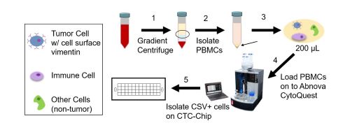 Researchers' workflow