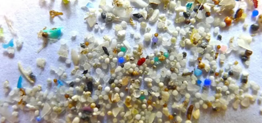 Microplastics'shape collection